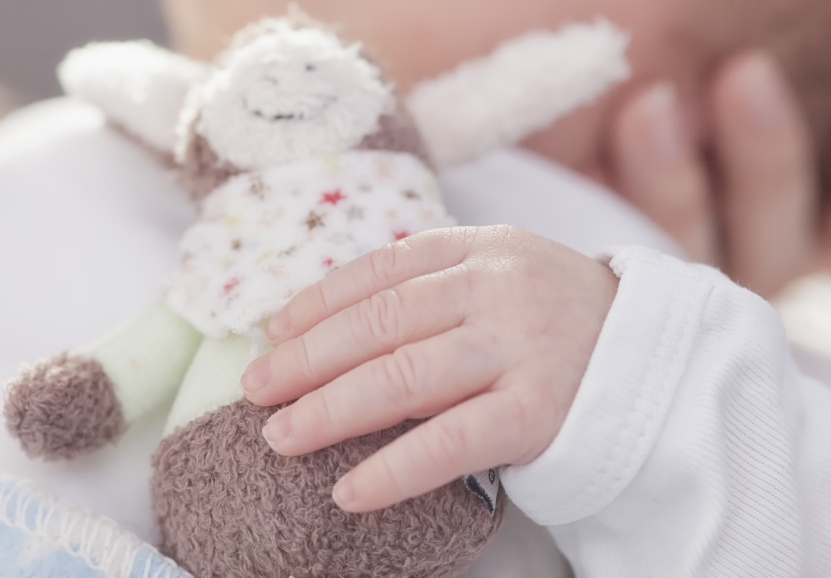 A new-born baby is holding a cuddly toy in his little hands.