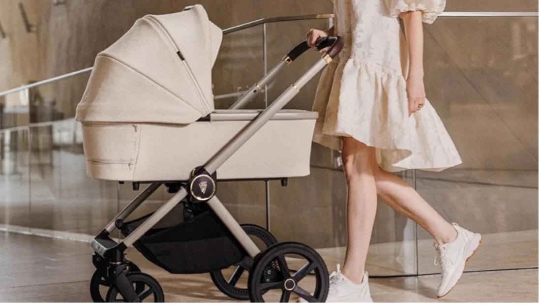A person pushing a stroller